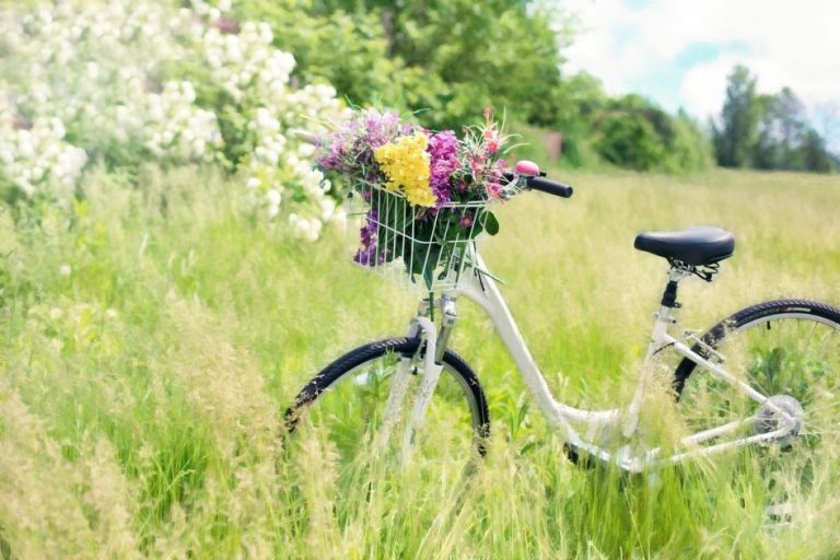 Home Aanbevolen fietsgereedschap inclusief kettinggereedschap en pedaalsleutel voor fietsonderhoud
